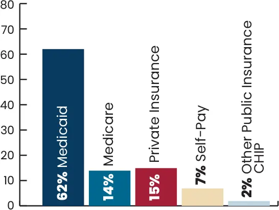 Chart: Patient Insurance Type